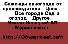 Саженцы винограда от производителя › Цена ­ 800 - Все города Сад и огород » Другое   . Ямало-Ненецкий АО,Муравленко г.